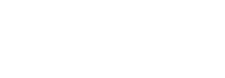 горбилет, партнер Цифровой Истории