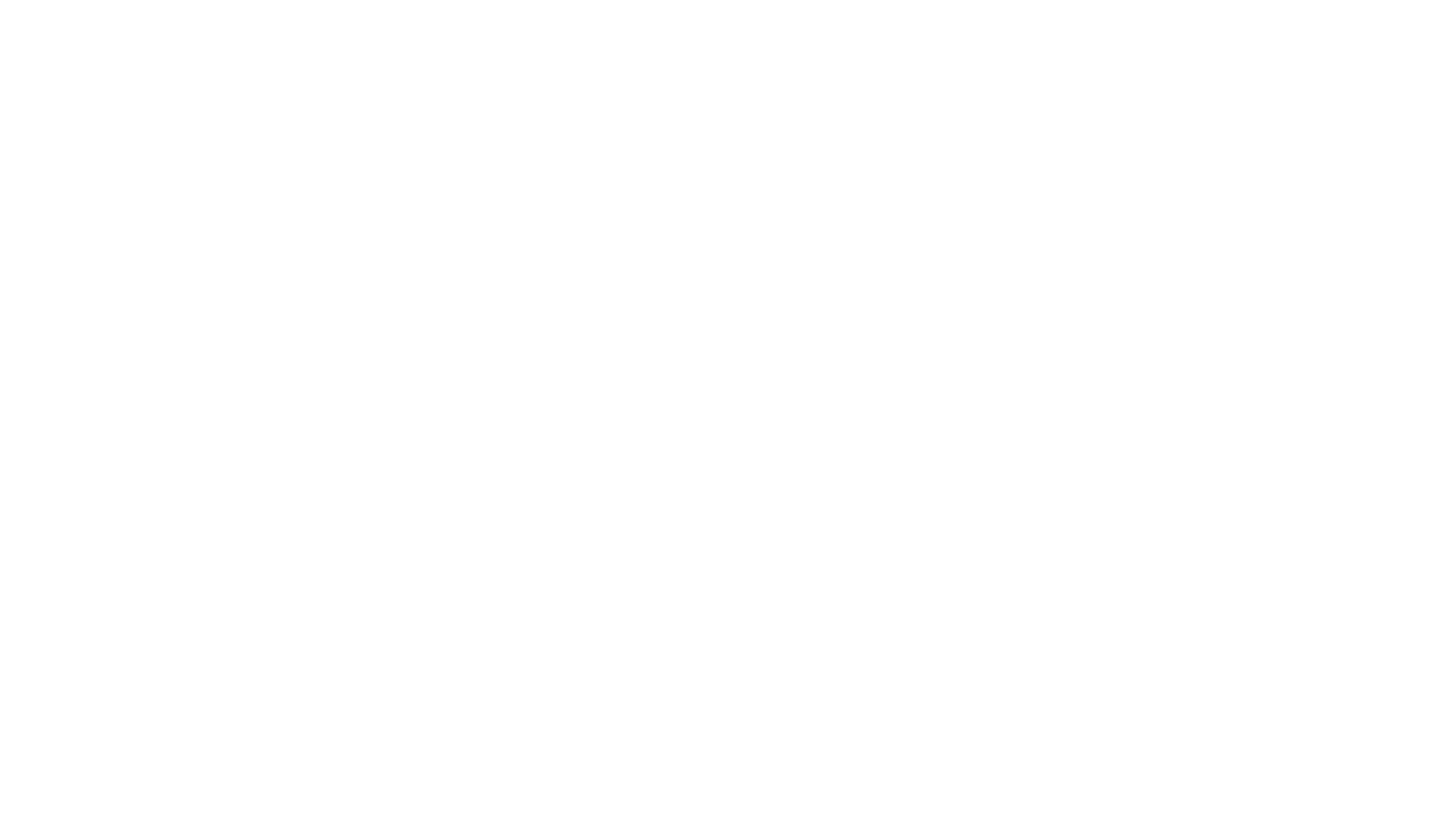РВИО, партнер Цифровой Истории