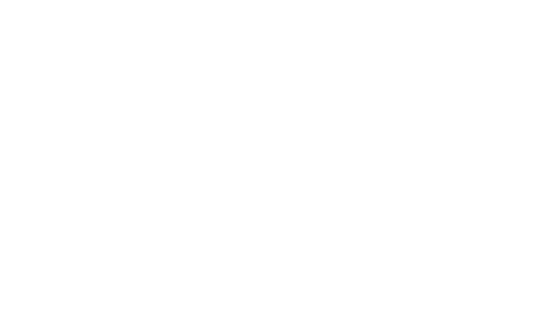 Sputnik, партнер Цифровой Истории
